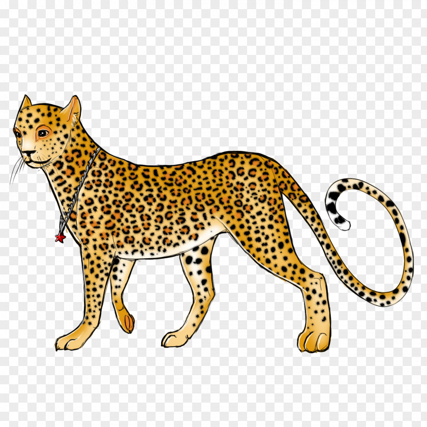 Leopard Whiskers Cheetah Jaguar Cat PNG