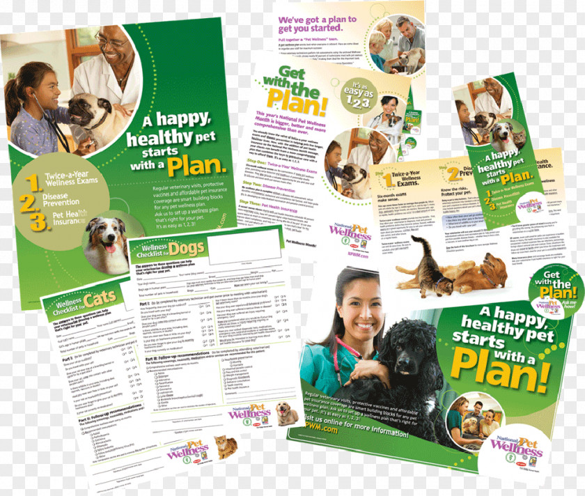 Pet Billboards Flyer Brochure PNG