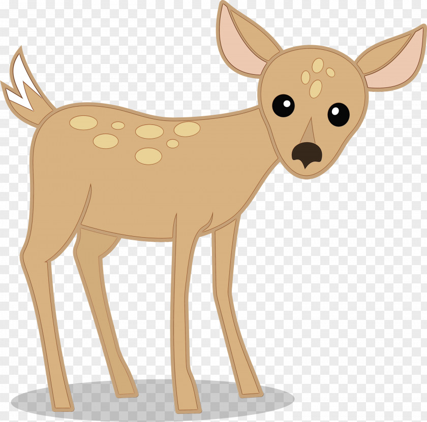 Tail Wildlife Deer Fawn Roe PNG