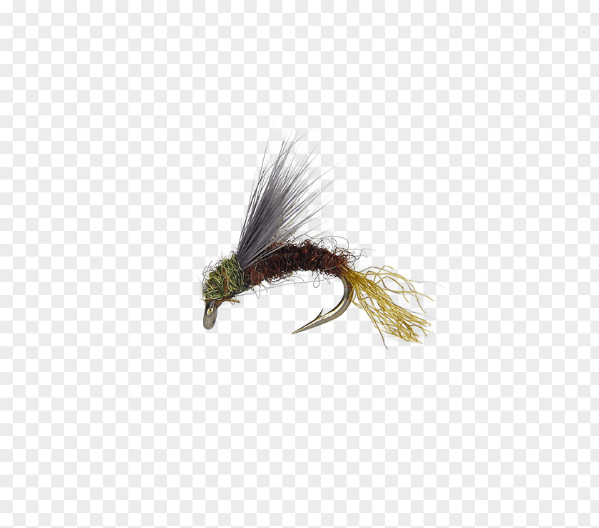 Artificial Fly Baetis Fishing Nymph Blue-winged Olive PNG