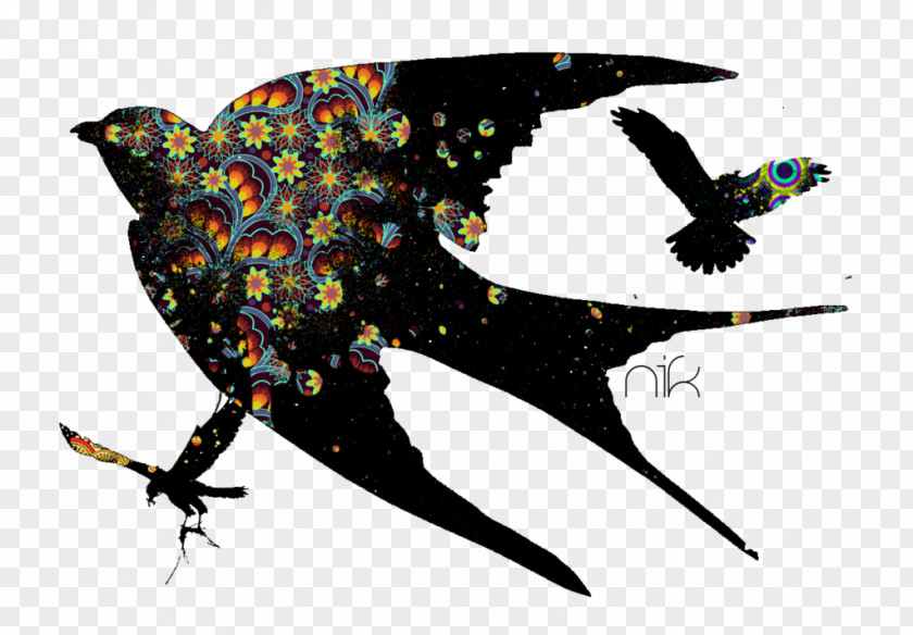 Bird Flight Swallow Silhouette PNG
