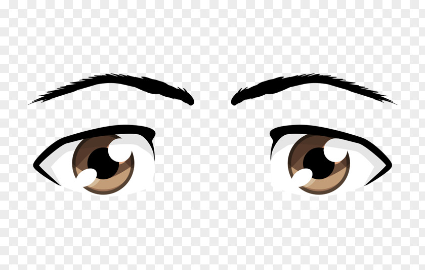 Colorful Eyes Eye Color Character Structure Homo Sapiens Eyebrow PNG