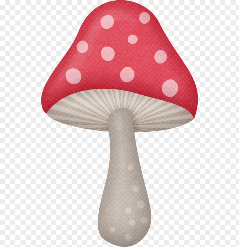 Fungi Drawing Fungus Animation Photography PNG