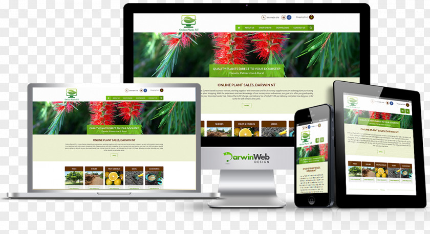 World Wide Web Responsive Design Development Page Business Catalyst PNG