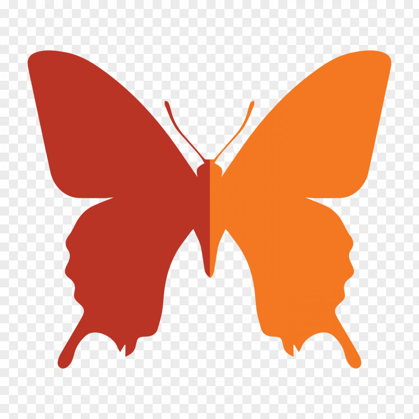 Brushfooted Butterfly Symmetry Logo PNG