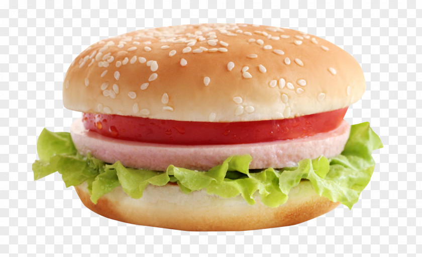 Burger Hamburger Veggie Cheeseburger Fast Food PNG