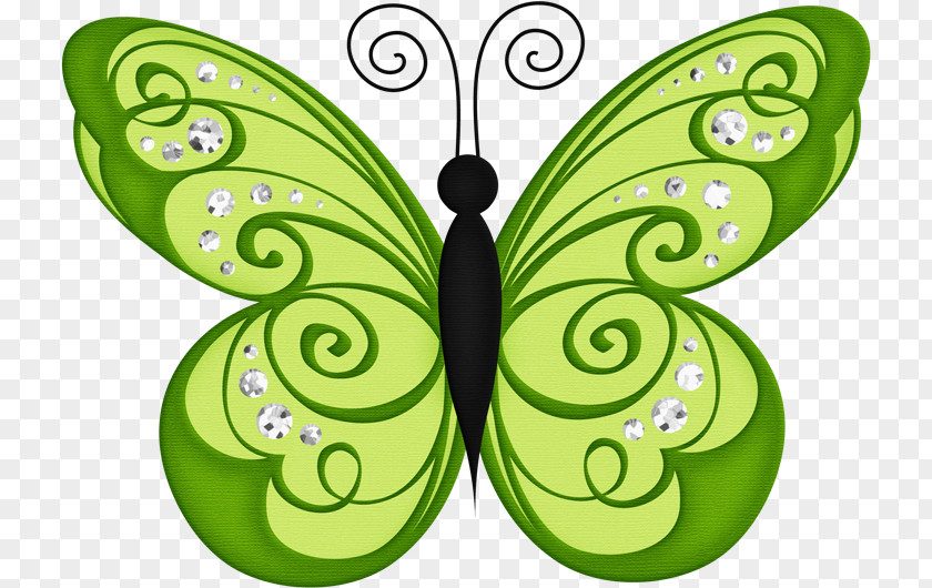 Butterfly Clip Art Openclipart Green Drawing PNG