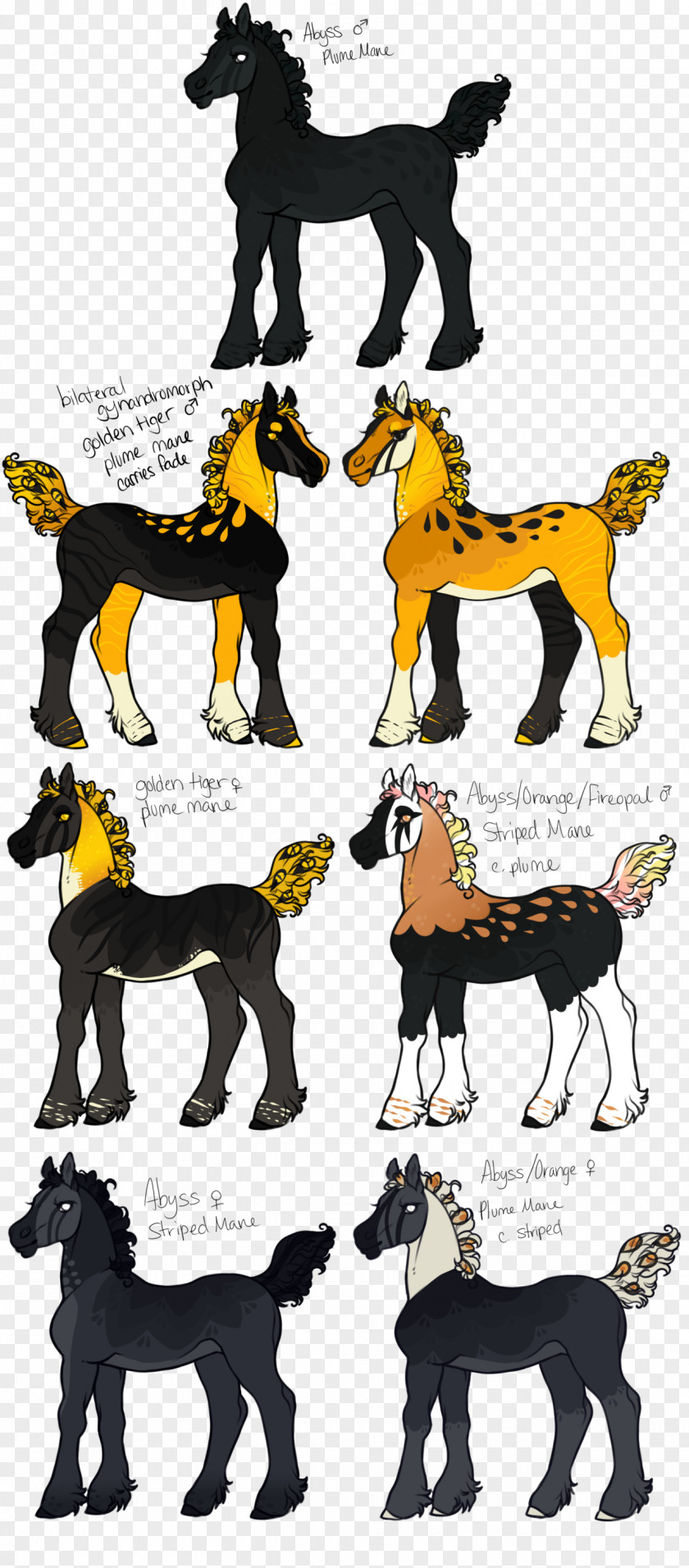 Golden Tiger Dog Cat Horse Mammal Clip Art PNG