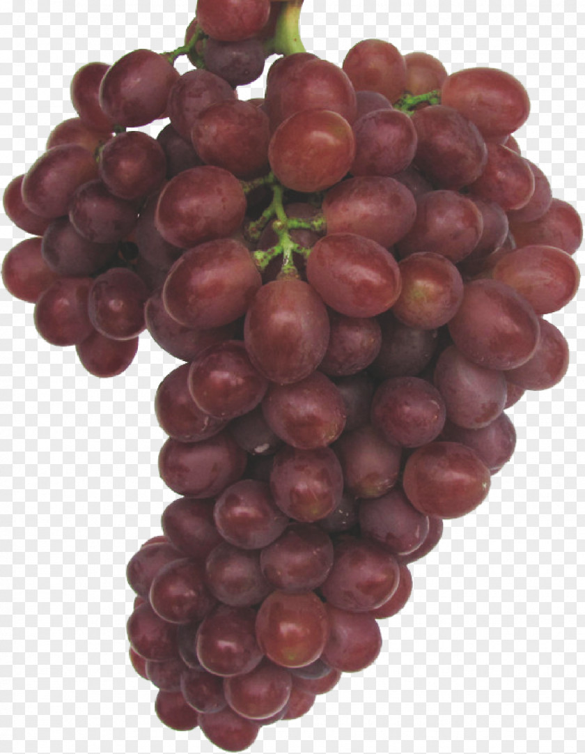 Grape Kyoho PNG