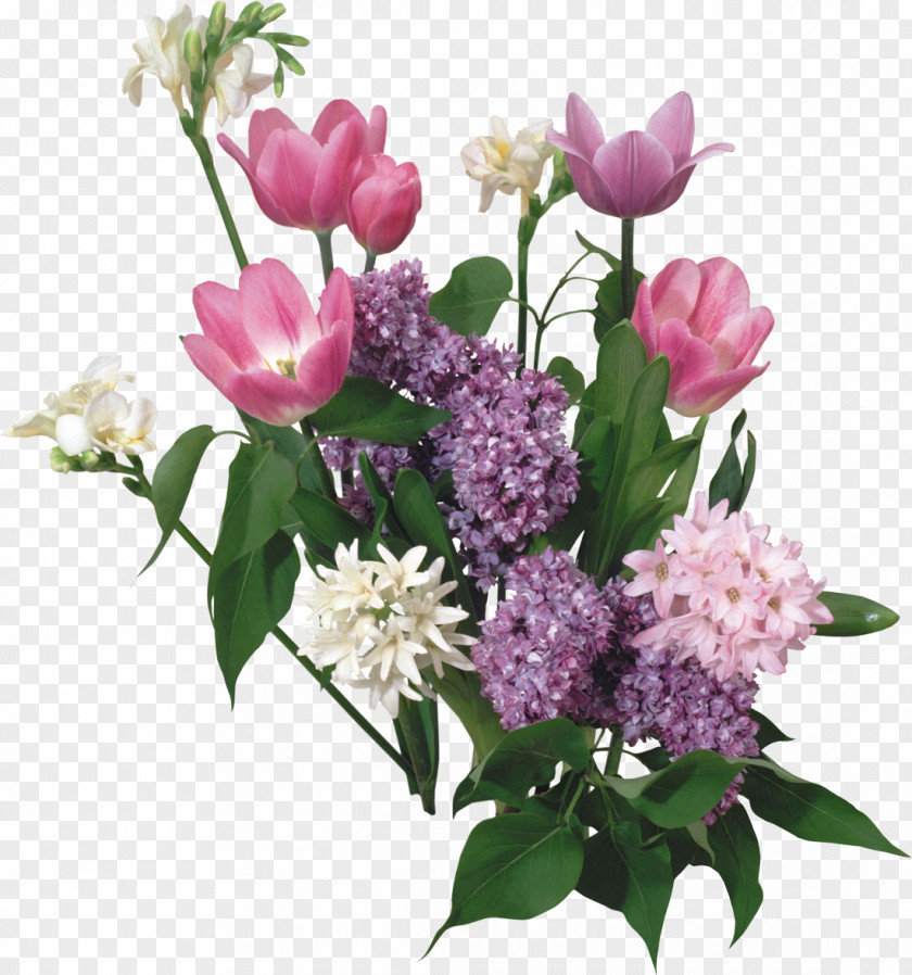 Lilac Flower Bouquet Picture Frames PNG