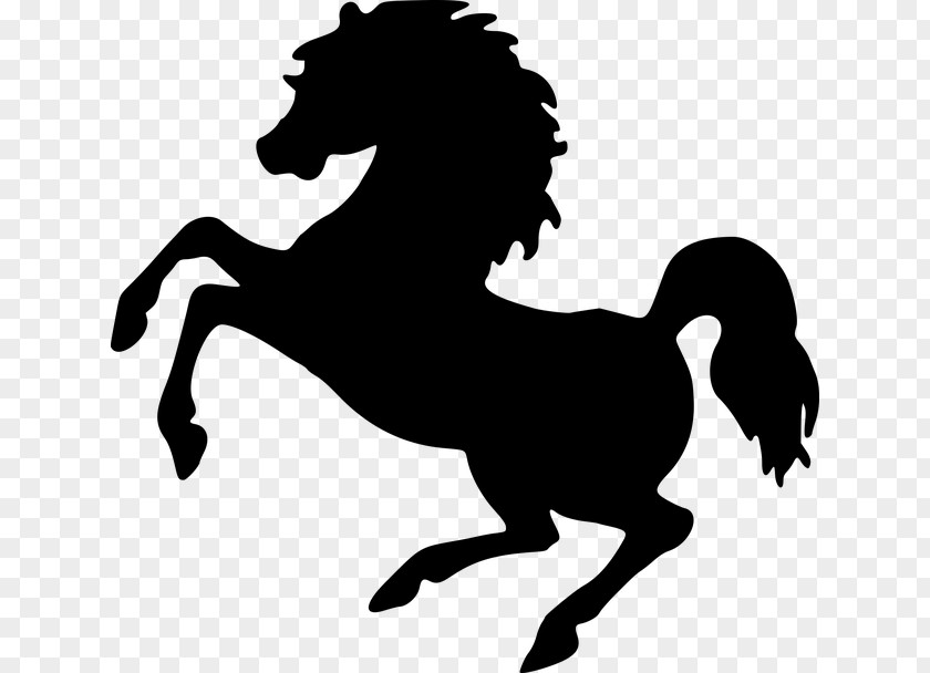 Unicorn Head Horse Rearing Equestrian Clip Art PNG