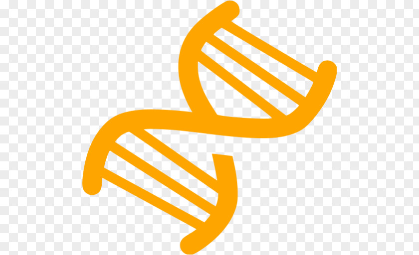 Vector Nucleic Acid Double Helix DNA PNG