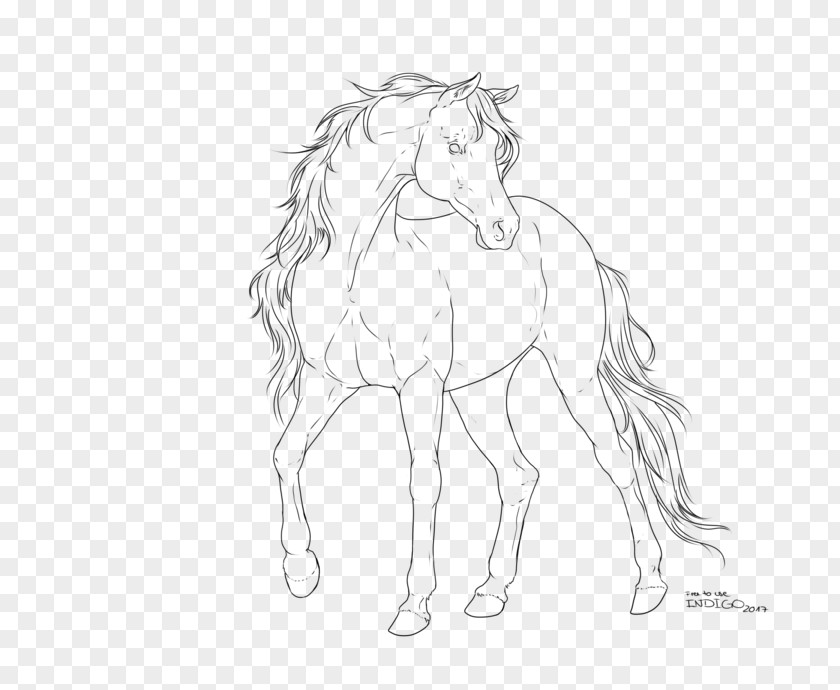 Mustang Arabian Horse Boulonnais Mane Sketch PNG
