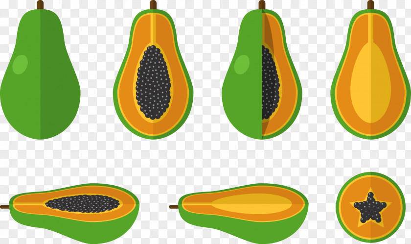 Papaya Pumpkin Fruit Euclidean Vector Icon PNG