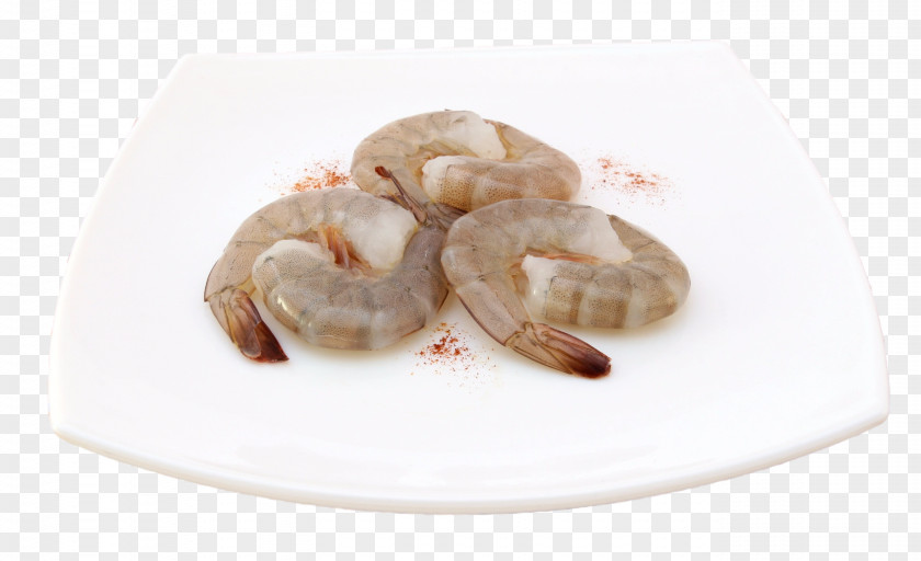 Shrimp Caridea Food Appetite Eating PNG