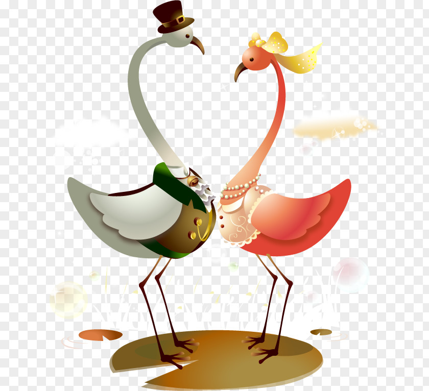 Vector Cartoon Swan Drawing Mural Wallpaper PNG