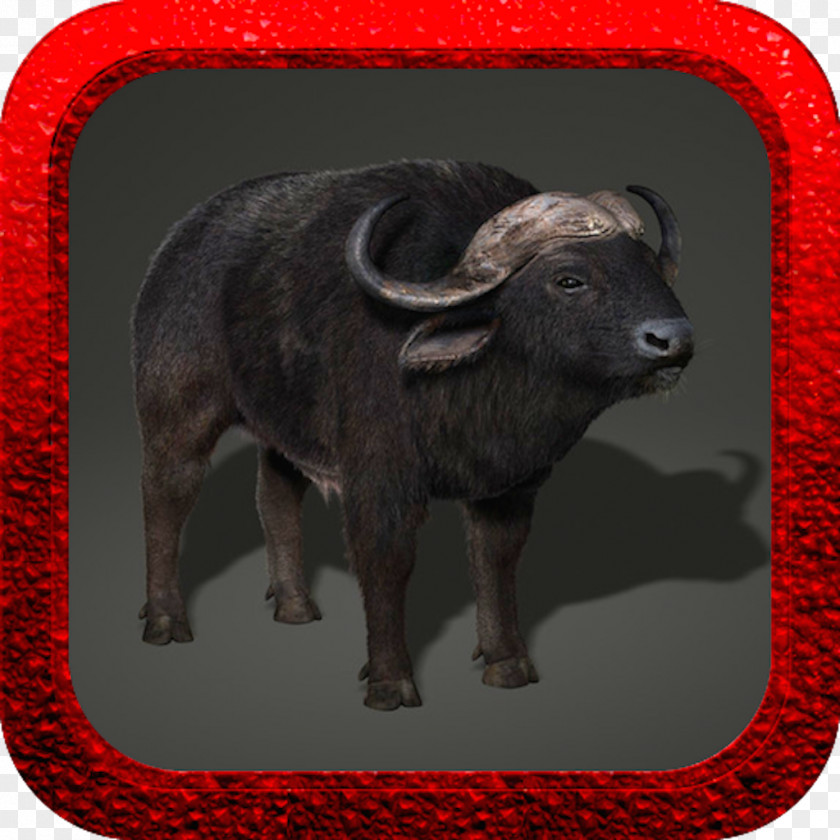 Bison Simulation Cattle Muscle Wolf Amazing Bulldog Gray PNG
