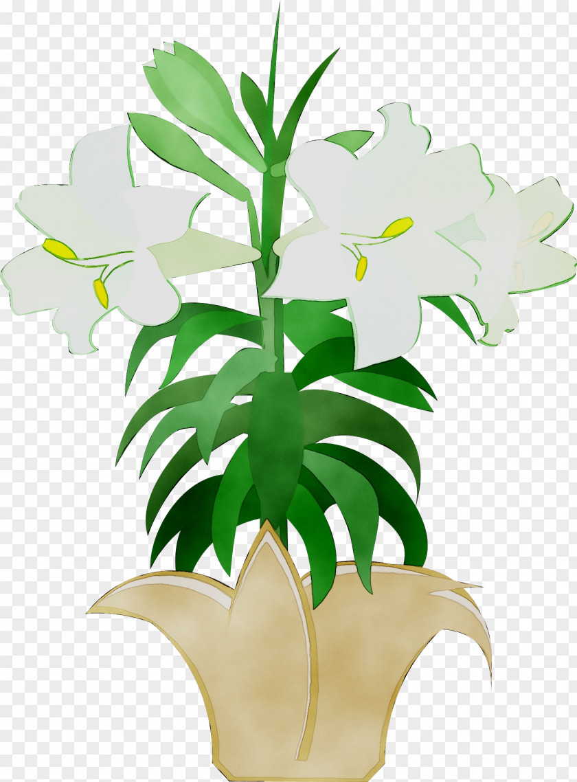 Clip Art Easter Lily Holy Week PNG