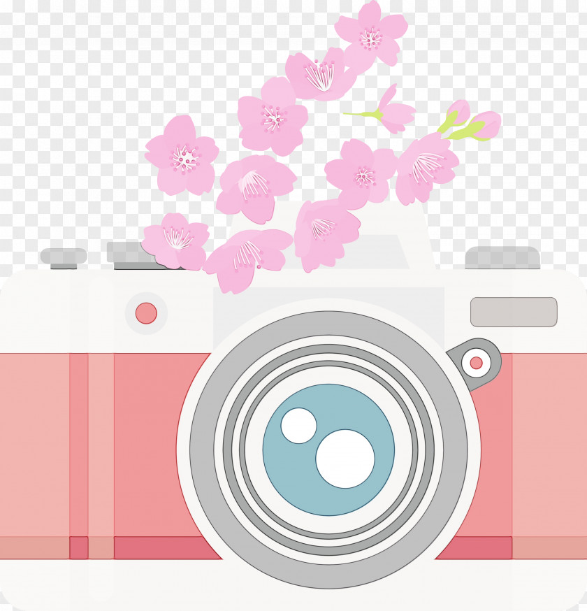 Sticker Circle Flower Petal Pattern PNG