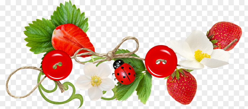 Hand-painted Strawberry Amorodo Photo-book Clip Art PNG