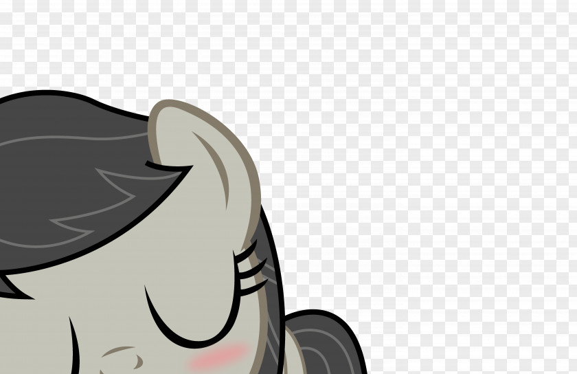 Horse Cat PNG