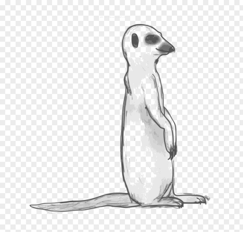 Meerkat Drawing Clip Art PNG