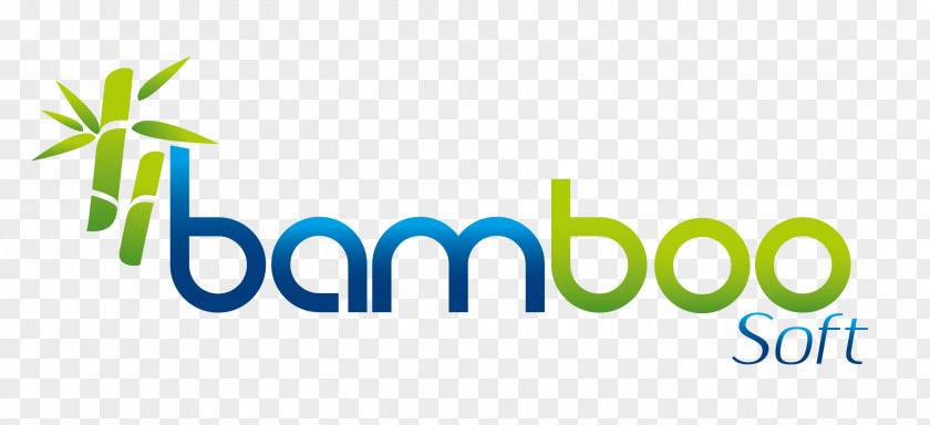 Bamboo Logo User Brand Computer Software Accounting PNG
