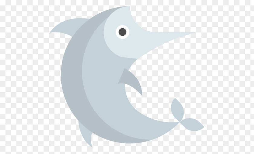 Dolphin Flightless Bird Beak Porpoise PNG
