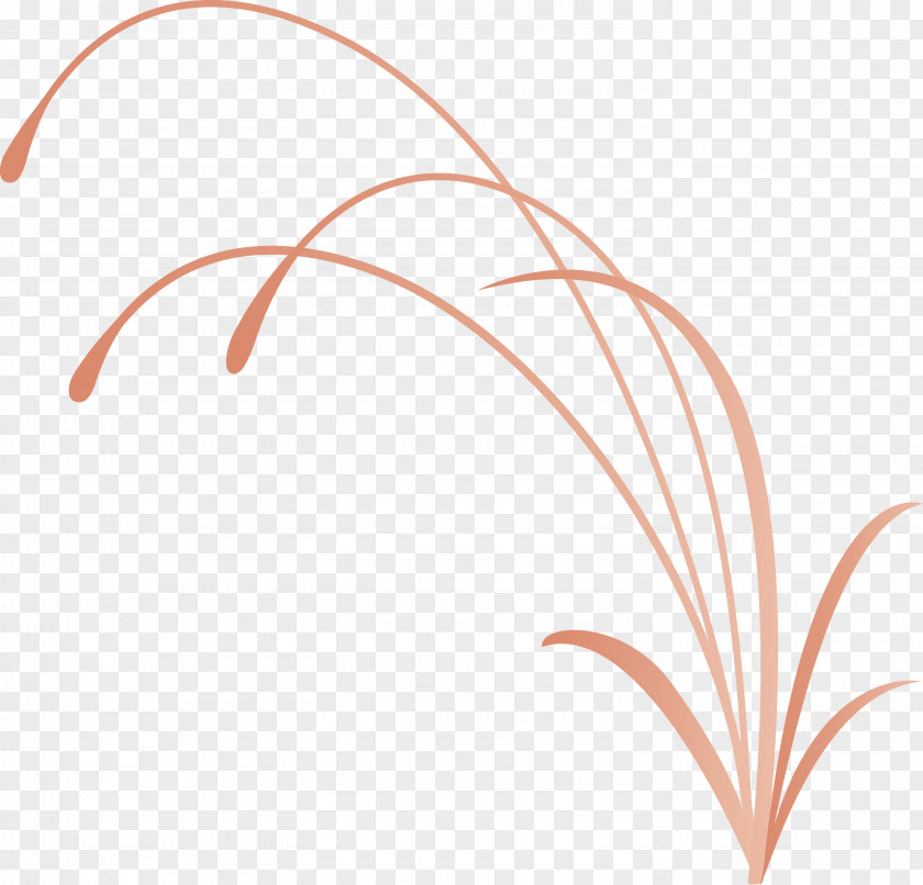 Flower Frame Decoration PNG