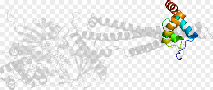 Line Art Body Jewellery Clip PNG