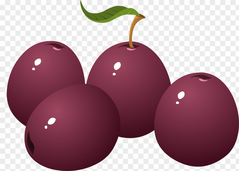 Plum Clip Art PNG