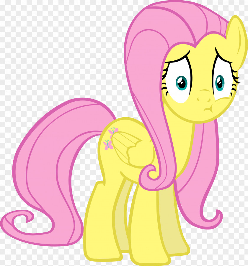 Pony Fluttershy Rainbow Dash PNG