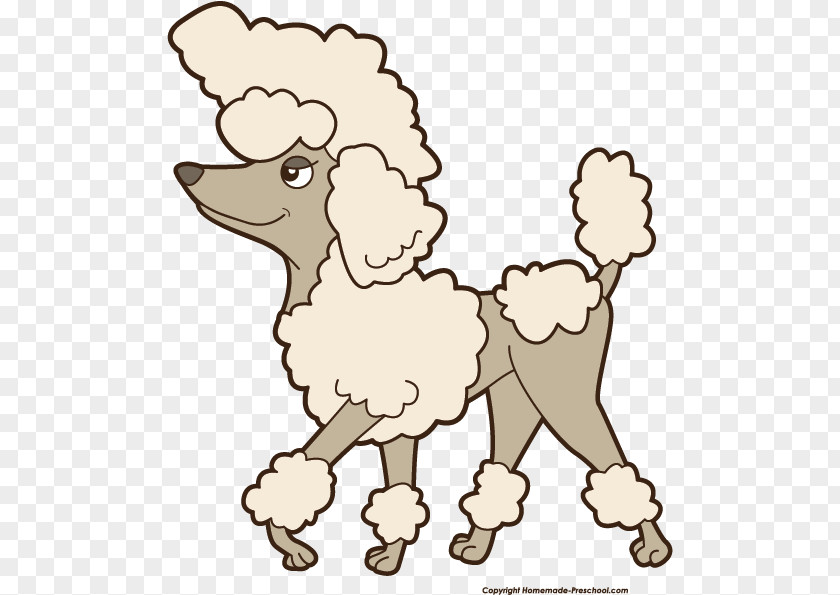 Poodle Cliparts Word Toy Your Puppy Clip Art PNG