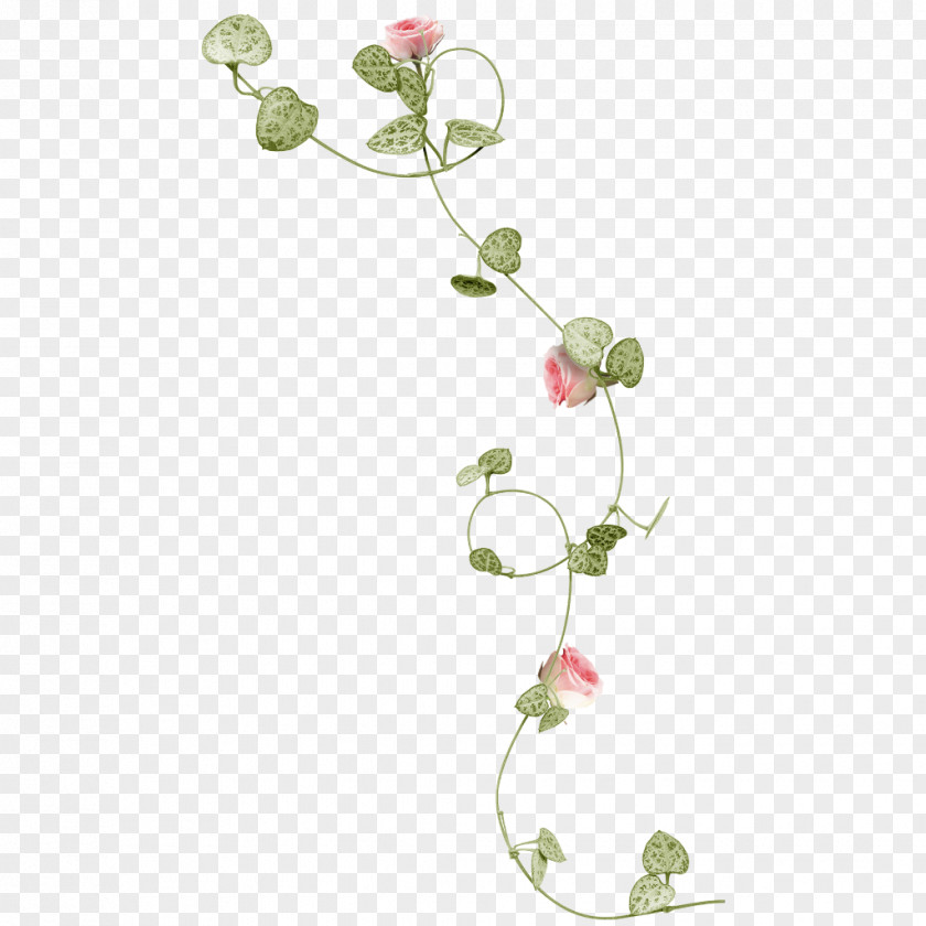 Summer Flowers Balloon Vine Rose Flower Clip Art PNG