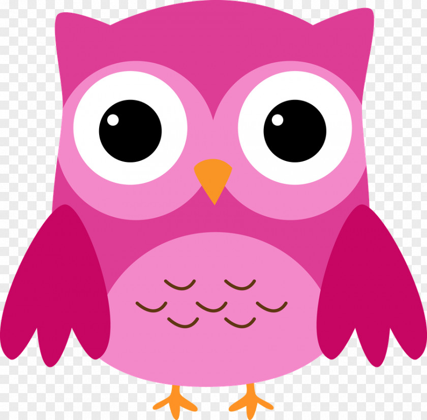 Owl Little Barn Clip Art PNG