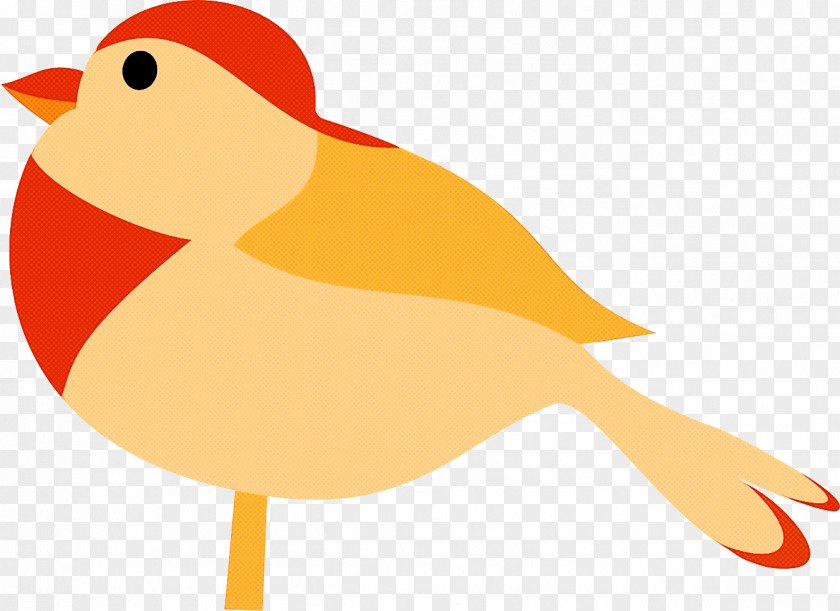 Bird Beak European Robin Songbird Finch PNG