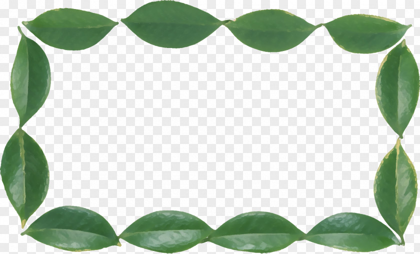 Leaf Picture Frames PNG
