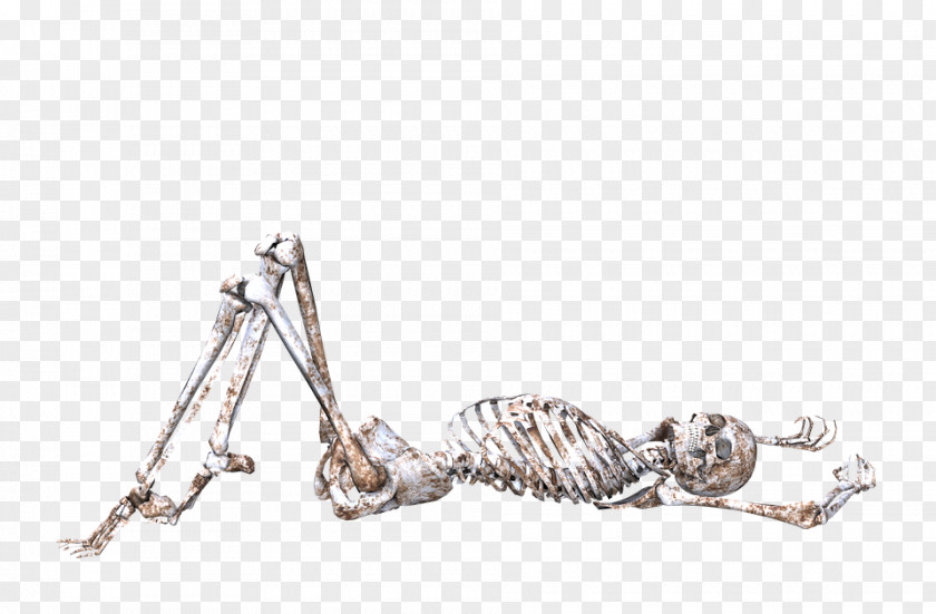 Lying Skull Skeleton Human Bone Body PNG