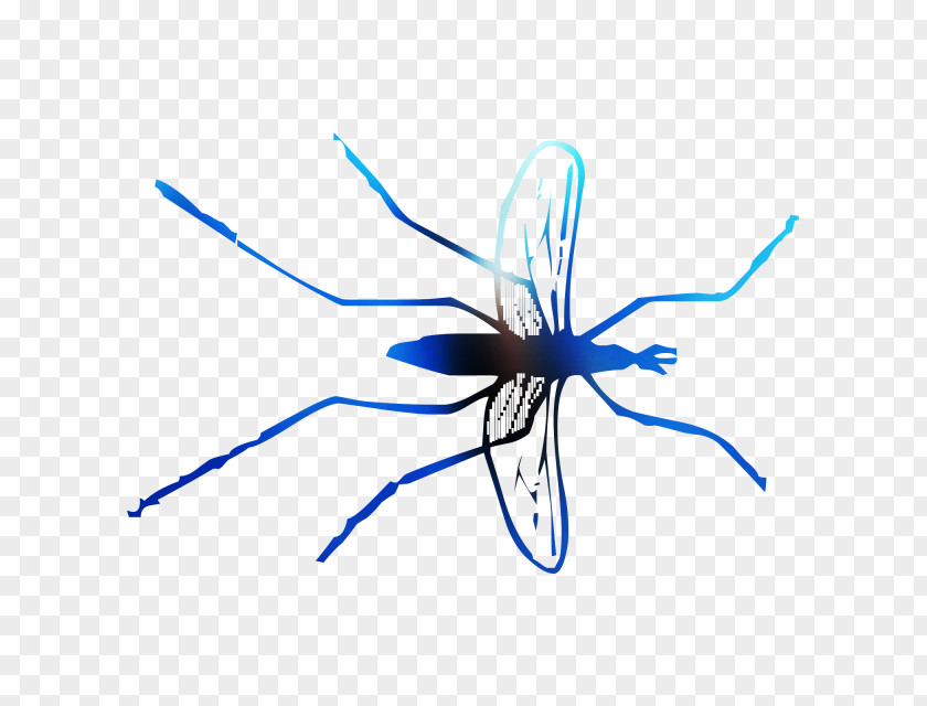 Mosquito Insect Line Membrane PNG