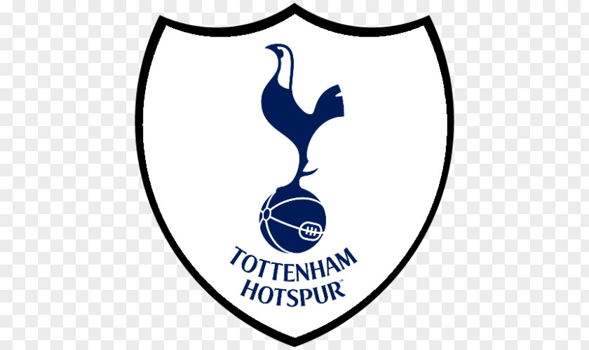 Premier League Tottenham Hotspur F.C. Northumberland Development Project Foundation Football PNG
