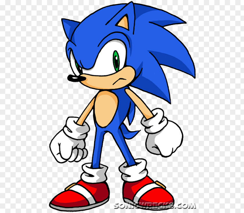 Sonic The Hedgehog Drawing Colors Amy Rose Doctor Eggman PNG