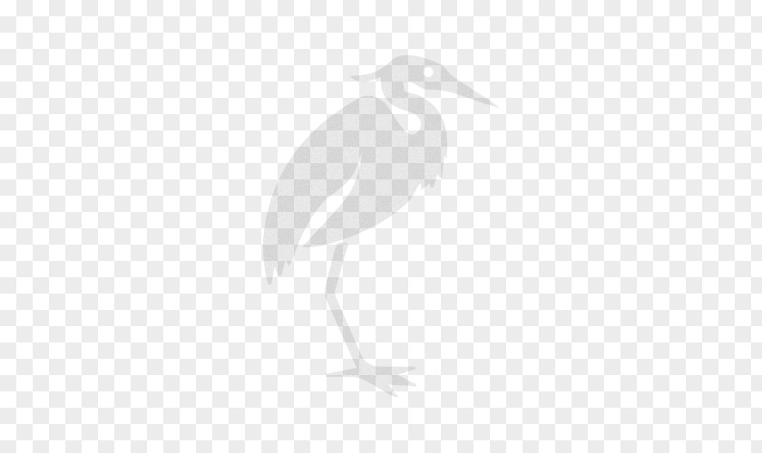 Stork Beak Water Bird Wader PNG