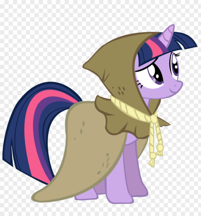 The Sleeping Unicorn Twilight Sparkle My Little Pony Rarity DeviantArt PNG