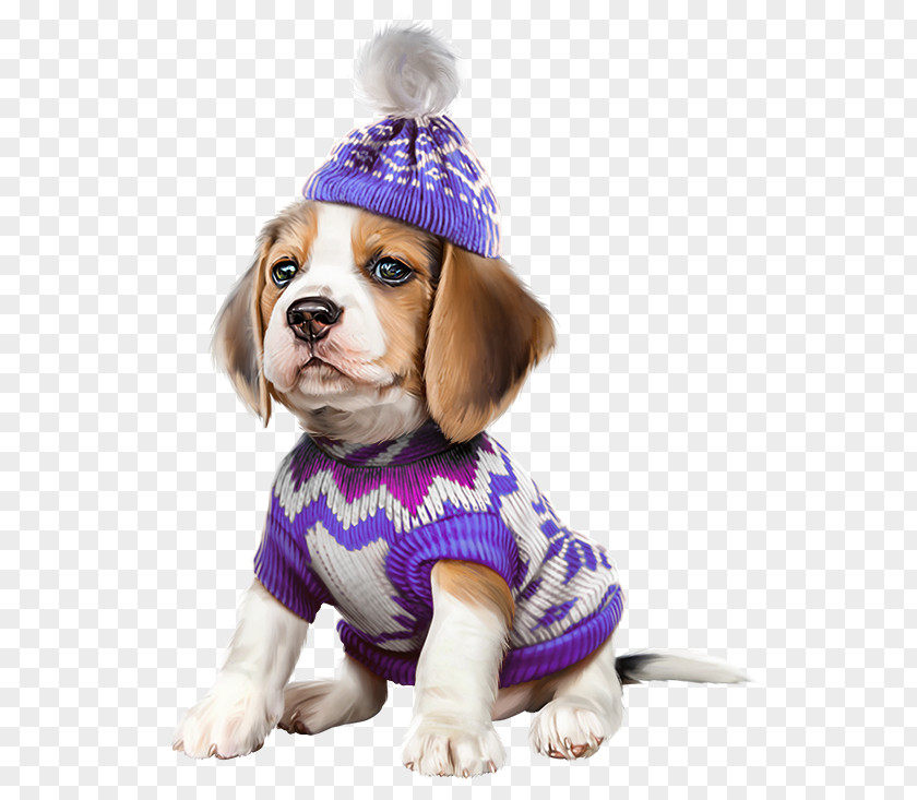 Cat French Bulldog Boston Terrier Beagle PNG