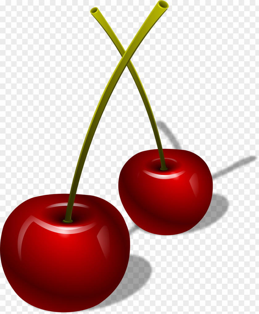 Cherry Berry Clip Art PNG