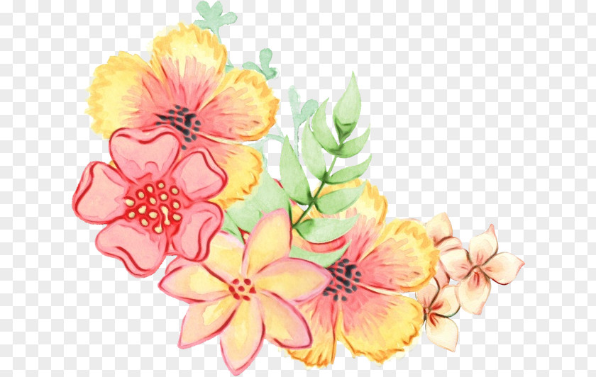 Cut Flowers Hibiscus Watercolor Pink PNG