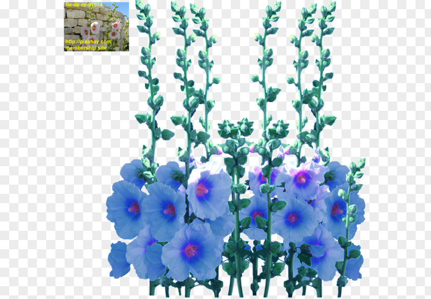 Design Larkspur Floral Artificial Flower Violet PNG