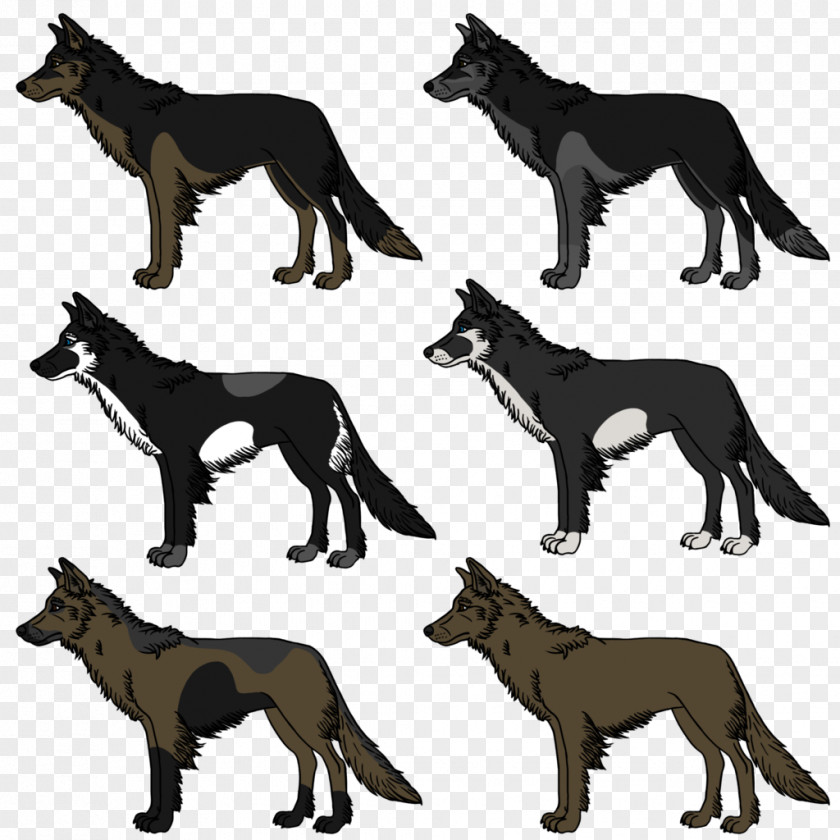 Dog Breed Fauna Wildlife PNG