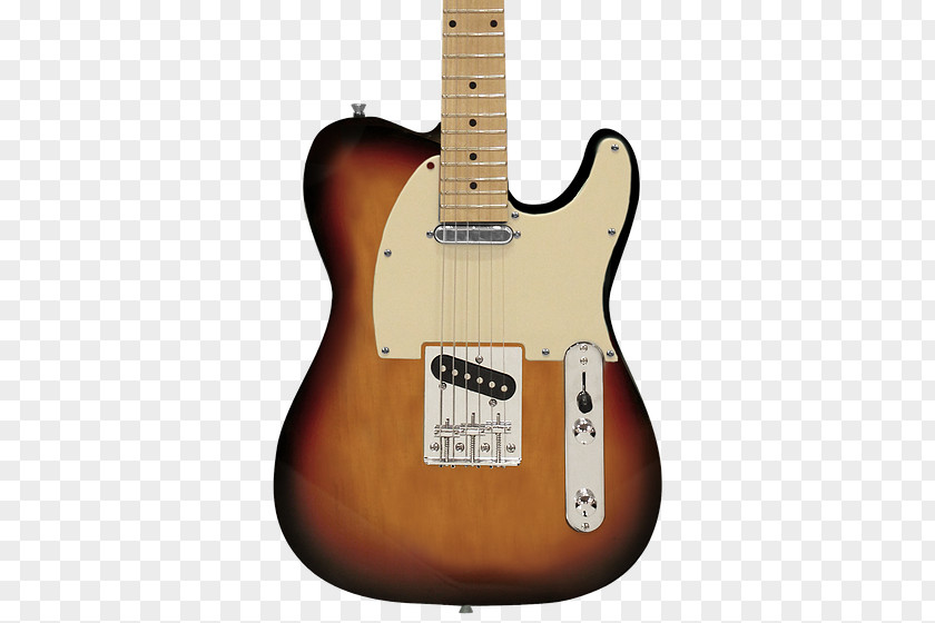 Electric Guitar Squier Fender Musical Instruments Corporation Telecaster Thinline PNG