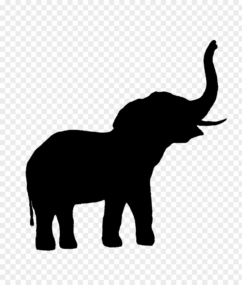 Indian Elephant African Cattle Mammal PNG